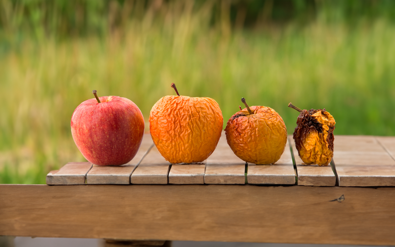 The Impact Transpiration Has on Fruit Quality Felix Instruments