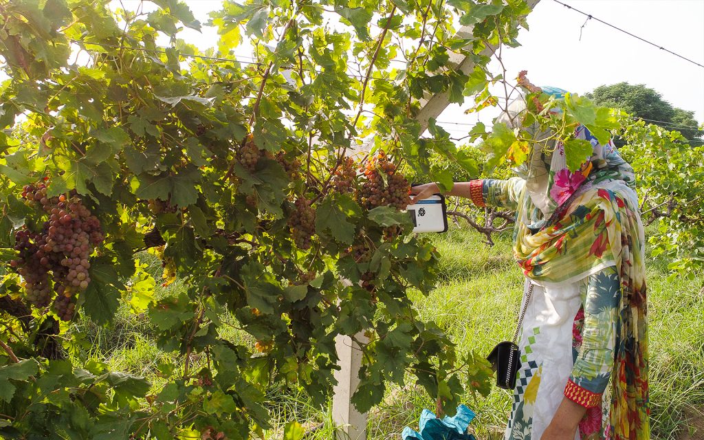 How the F-750 Supports Commercial Operations