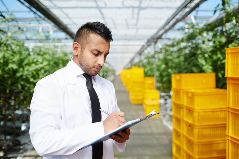 Fixed vs Portable Ethylene Monitoring Compared