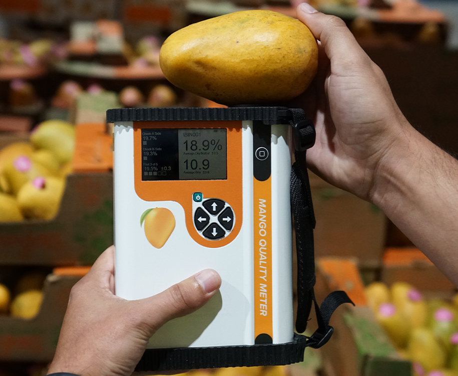 Felix Instrument Mango Quality Meter