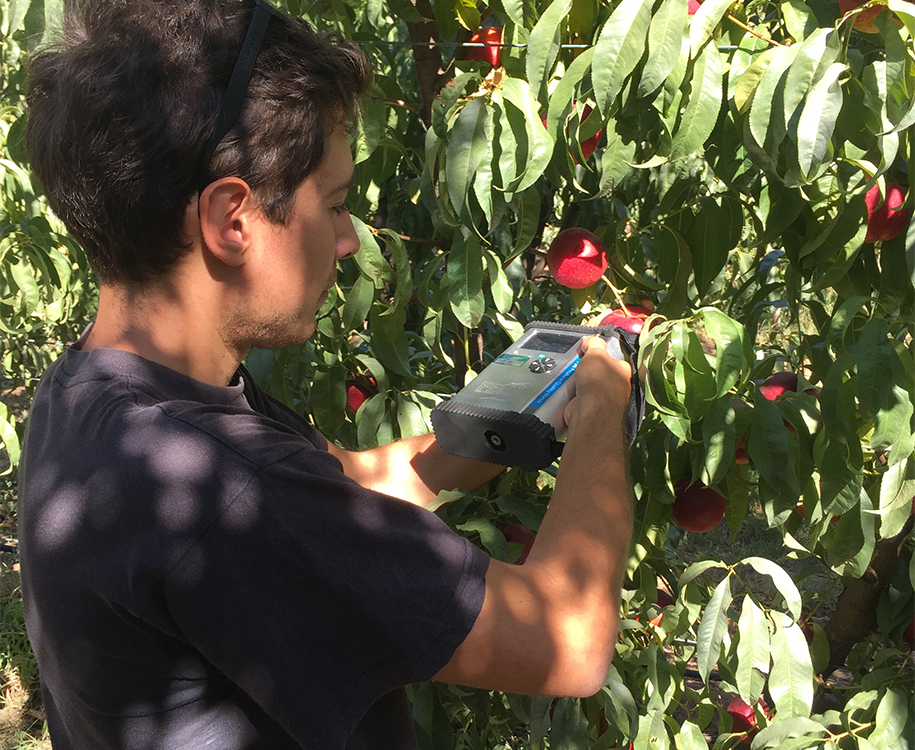 F-750 Calibration Strengths