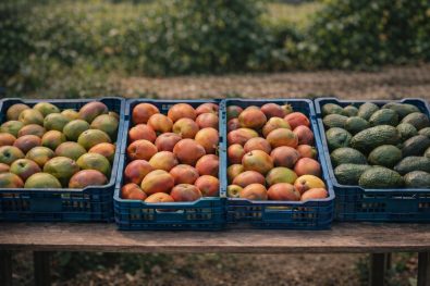 Data Repeatability Under Pressure F-751 vs Sunforest vs Rubens Compared on Real Fruit Lots