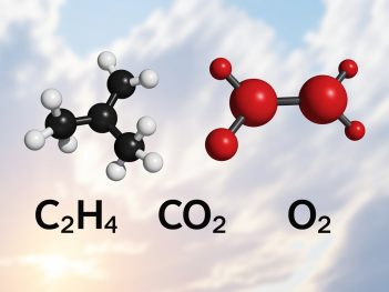 Multi-Gas Analysis ethylene, carbon dioxide, and oxygen