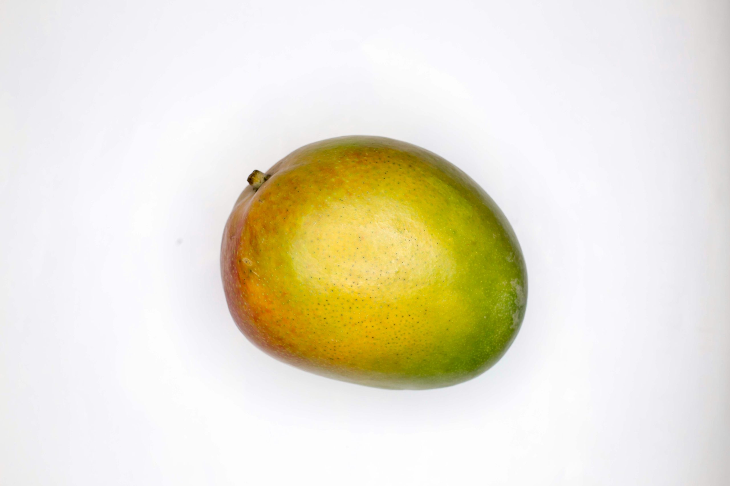 NIR Dry Matter Testing for Mango Export Readiness with the F-751 Mango Meter
