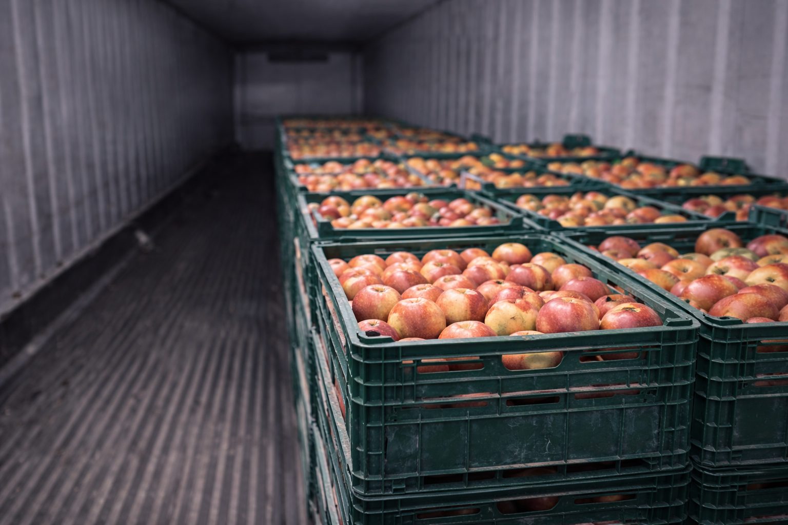 F-940 for Monitoring Shipping Containers in Long-Haul Fruit Logistics